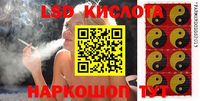 spice Ирбит