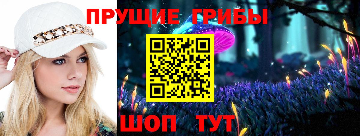Псилоцибиновые грибы прущие грибы Кубинка
